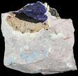 Large Azurite Crystal in Matrix - Morocco #49448-1